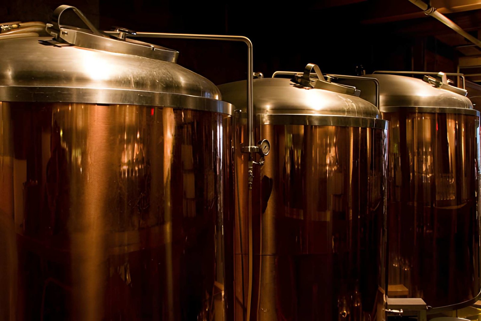 What Is a Distillery A Complete Guide to How Distilleries Work